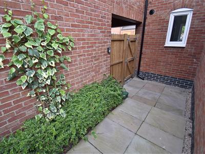 Picture 30
